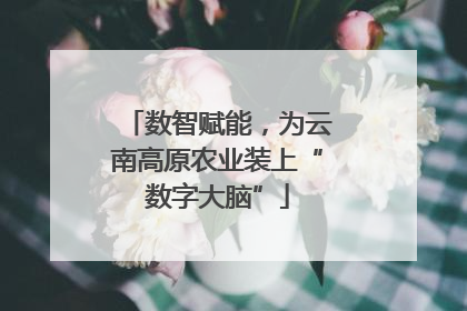 数智赋能，为云南高原农业装上“数字大脑”