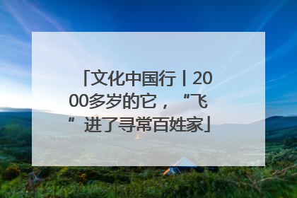 文化中国行丨2000多岁的它，“飞”进了寻常百姓家