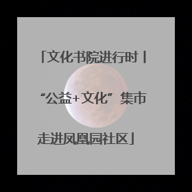 文化书院进行时丨“公益+文化”集市走进凤凰园社区