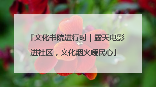 文化书院进行时｜露天电影进社区，文化烟火暖民心