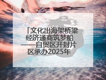 文化出海架桥梁 经济通商筑梦船——自贸区开封片区承办2025年匈牙利文旅交流对接活动专场