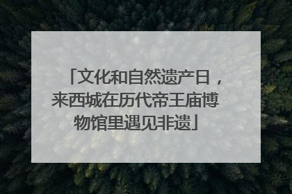 文化和自然遗产日，来西城在历代帝王庙博物馆里遇见非遗