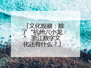 文化观察：除了“杭州六小龙” 浙江数字文化还有什么？