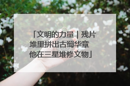 文明的力量｜残片堆里拼出古蜀华章 他在三星堆修文物