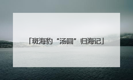 斑海豹“汤圆”归海记