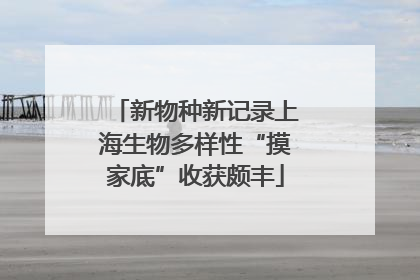 新物种新记录上海生物多样性“摸家底”收获颇丰