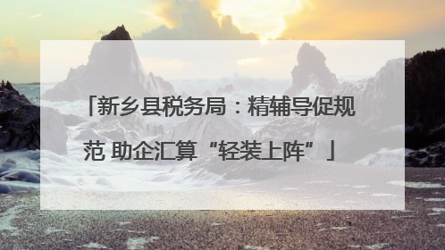 新乡县税务局：精辅导促规范 助企汇算“轻装上阵”