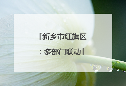 新乡市红旗区：多部门联动