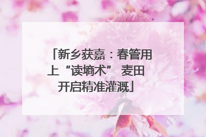 新乡获嘉：春管用上“读墒术” 麦田开启精准灌溉