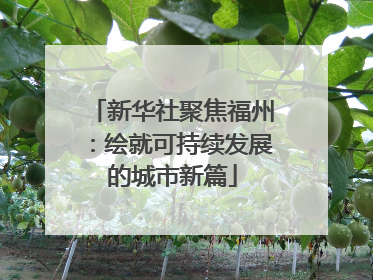 新华社聚焦福州：绘就可持续发展的城市新篇