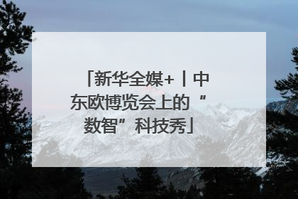 新华全媒+丨中东欧博览会上的“数智”科技秀