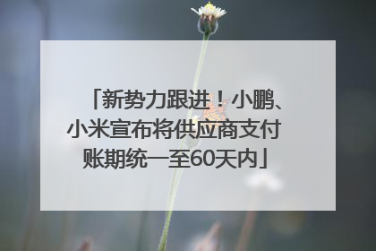 新势力跟进！小鹏、小米宣布将供应商支付账期统一至60天内