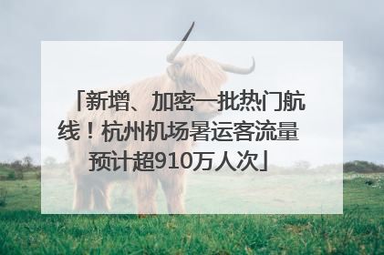 新增、加密一批热门航线！杭州机场暑运客流量预计超910万人次