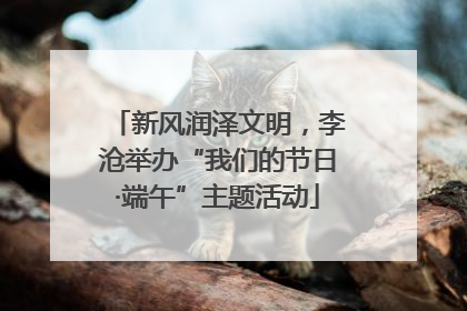 新风润泽文明，李沧举办“我们的节日·端午”主题活动