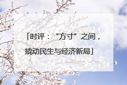 时评：“方寸”之间，撬动民生与经济新局