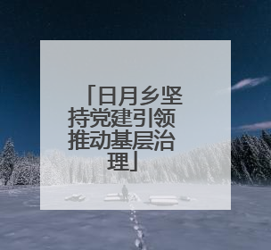 日月乡坚持党建引领推动基层治理