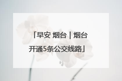 早安 烟台｜烟台开通5条公交线路