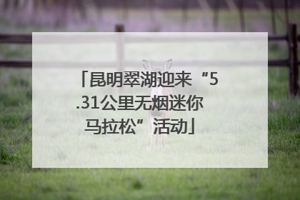 昆明翠湖迎来“5.31公里无烟迷你马拉松”活动