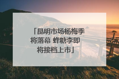 昆明市场杨梅季将落幕 蜂糖李即将接档上市