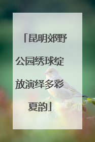 昆明郊野公园绣球绽放演绎多彩夏韵