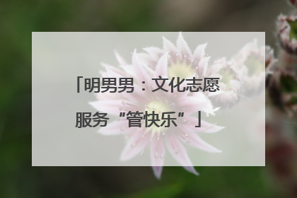 明男男：文化志愿服务“管快乐”