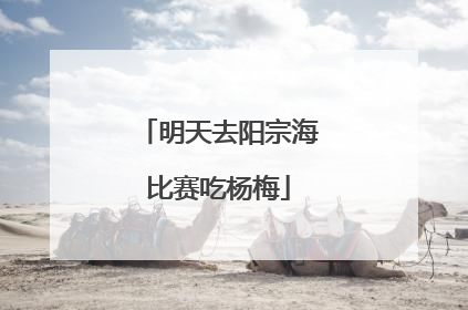 明天去阳宗海比赛吃杨梅