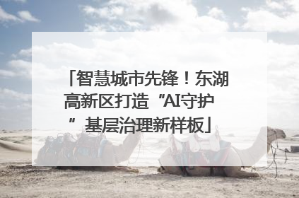 智慧城市先锋！东湖高新区打造“AI守护”基层治理新样板