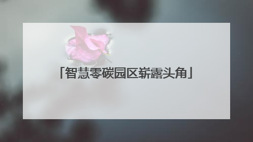 智慧零碳园区崭露头角