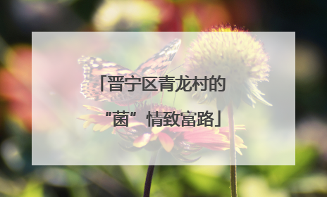 晋宁区青龙村的“菌”情致富路