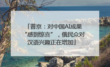 普京：对中国AI成果“感到惊喜”，俄民众对汉语兴趣正在增加