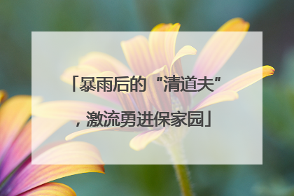 暴雨后的“清道夫”，激流勇进保家园