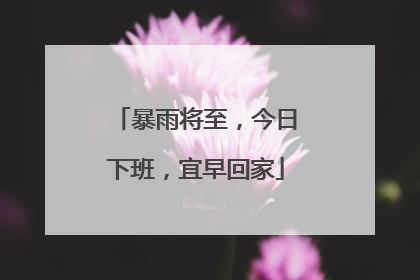 暴雨将至，今日下班，宜早回家