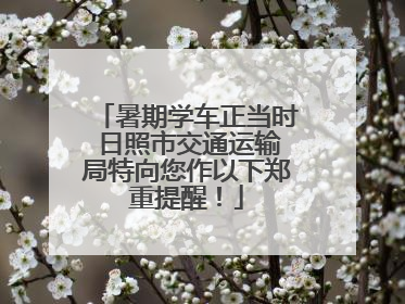 暑期学车正当时 日照市交通运输局特向您作以下郑重提醒！