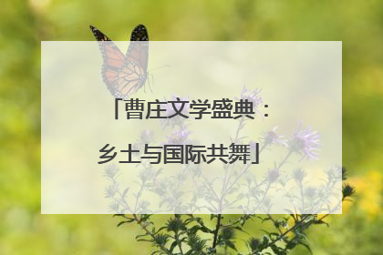 曹庄文学盛典：乡土与国际共舞