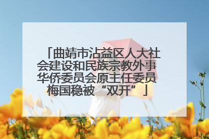 曲靖市沾益区人大社会建设和民族宗教外事华侨委员会原主任委员梅国稳被“双开”