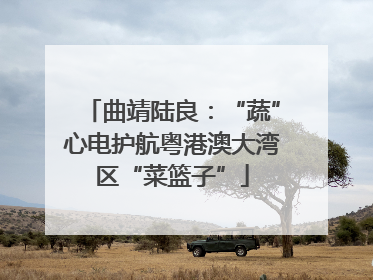 曲靖陆良：“蔬”心电护航粤港澳大湾区“菜篮子”