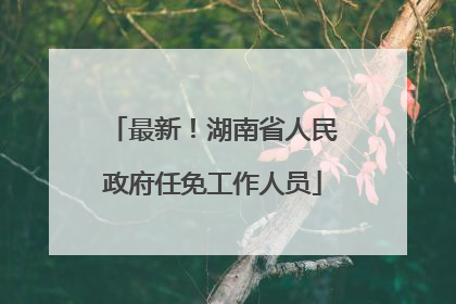 最新！湖南省人民政府任免工作人员