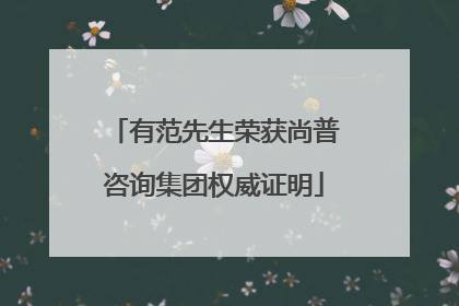 有范先生荣获尚普咨询集团权威证明