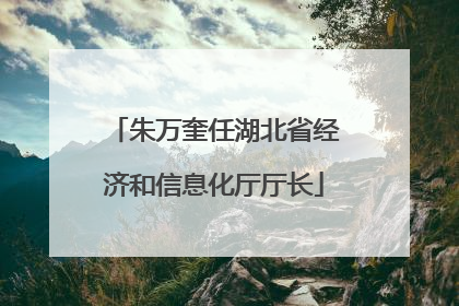 朱万奎任湖北省经济和信息化厅厅长