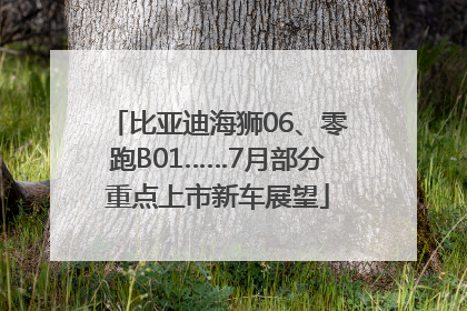 比亚迪海狮06、零跑B01……7月部分重点上市新车展望
