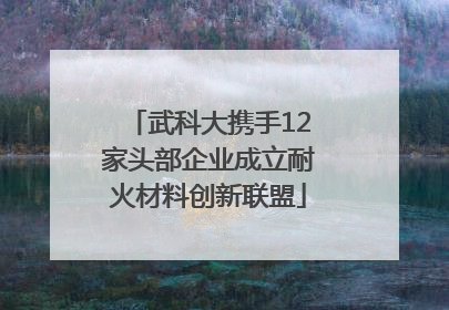 武科大携手12家头部企业成立耐火材料创新联盟
