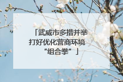 武威市多措并举打好优化营商环境“组合拳”
