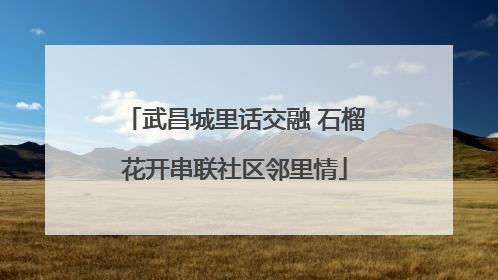 武昌城里话交融 石榴花开串联社区邻里情