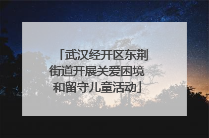 武汉经开区东荆街道开展关爱困境和留守儿童活动