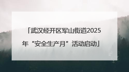 武汉经开区军山街道2025年“安全生产月”活动启动