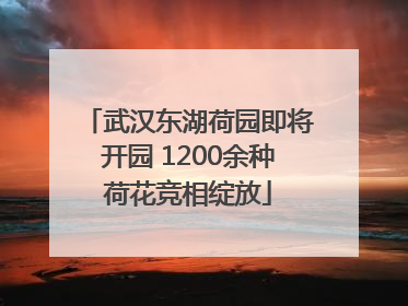 武汉东湖荷园即将开园 1200余种荷花竞相绽放