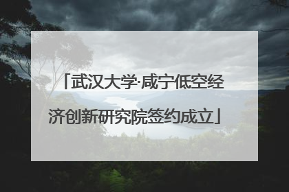 武汉大学·咸宁低空经济创新研究院签约成立
