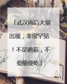 武汉雨后大量出现，非常罕见！不是蘑菇，不要随便吃