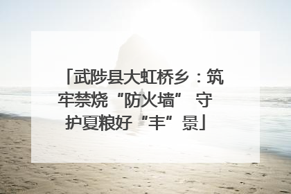 武陟县大虹桥乡：筑牢禁烧“防火墙” 守护夏粮好“丰”景