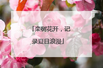 栾树花开，记录夏日浪漫